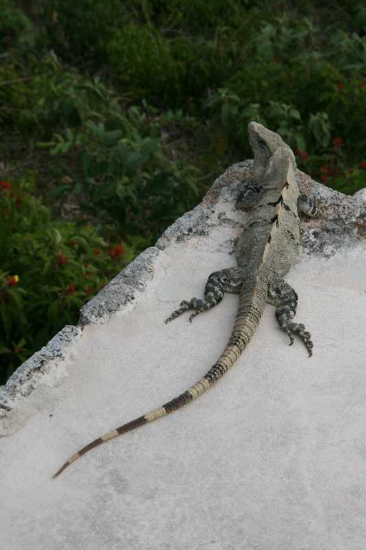 Mexico & Guatemala 2010 - 0179